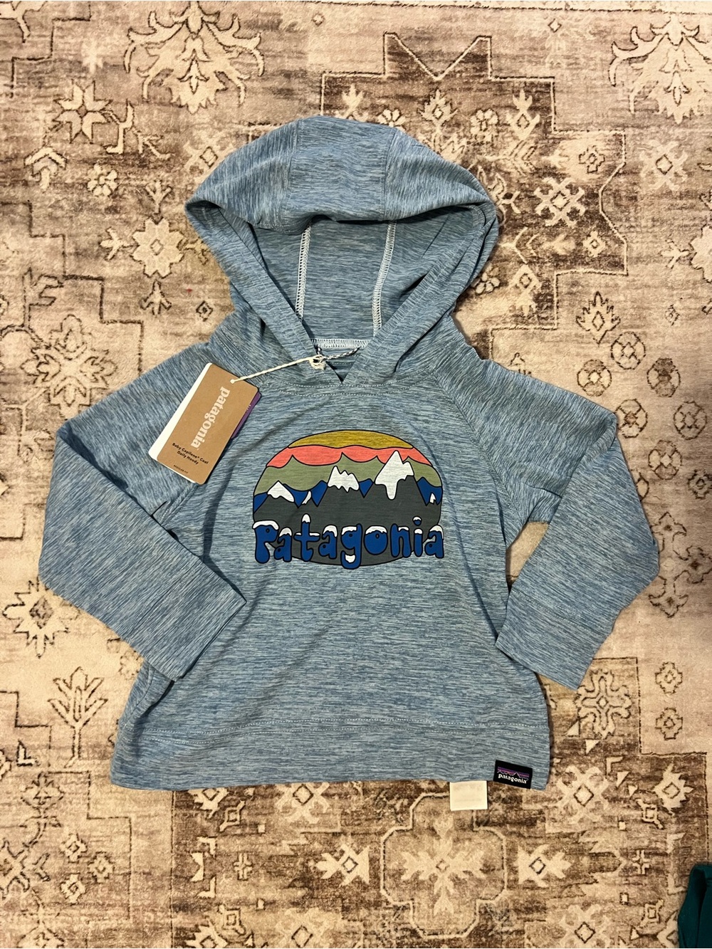 Patagonia Light Blue Kids Hooded Logo Pullover